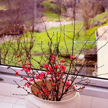 Cévennes Maison Individuelle Affittacamere